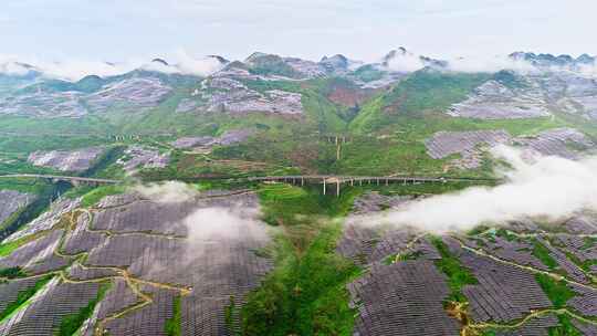 贵州安顺关岭光伏发电场新能源绿色能源