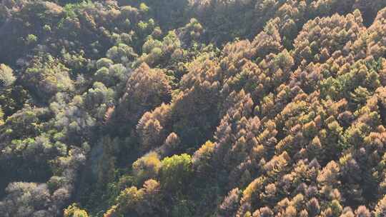 航拍辽宁千山色彩斑斓的秋景