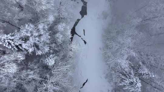 东北冬天长白山寒冷河流不冻河雾凇雪景