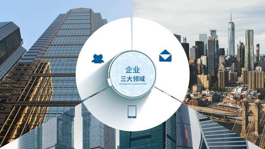 无插件-3大企业信息架构分类