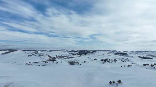 呼伦贝尔冬季白色雪原绿色松林