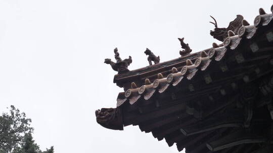 秋季下雨中岱庙古迹古建筑屋檐滴水雨中景色