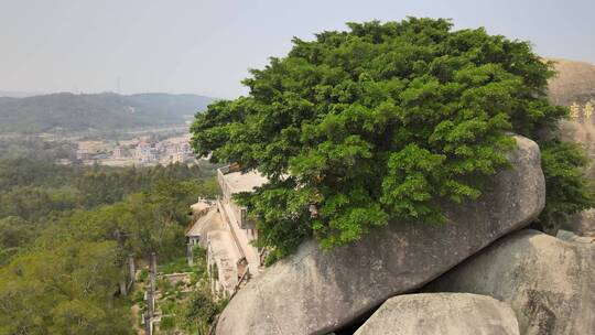 大气 航拍 福建 泉州 闽南 惠安 寺庙 佛