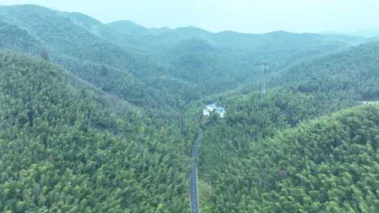 蔡伦竹海旅游风景区