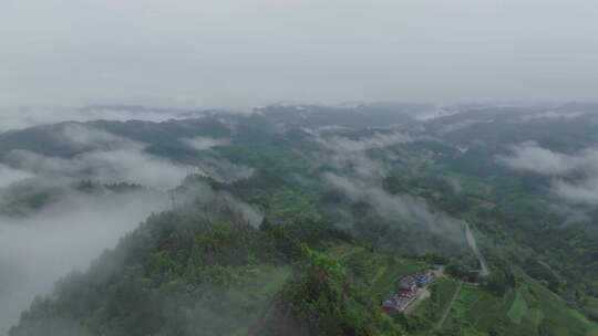 大山峡谷