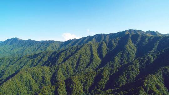 秦岭 山  航拍 大自然  生态