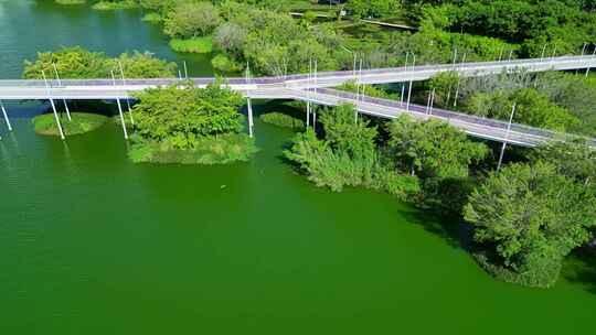 海南三亚东岸湿地公园公园航拍城市生态绿道