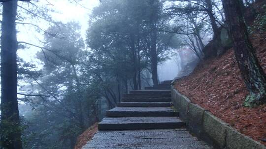 安徽九华山东崖界雾景视频素材