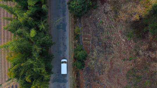 汽车省道视频树荫下县乡道路上行驶的车辆