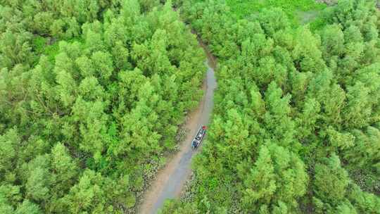 4k广东江门滨海新区银湖湾湿地红树林航拍