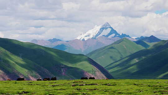 西藏那曲雪山和草原壮观大气视频视频素材模板下载