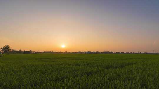 6k60p乡村田野夕阳延时摄影