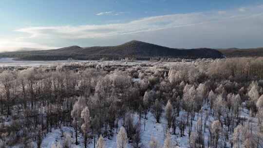 航拍大兴安岭雪原雾凇美景241102 (1)