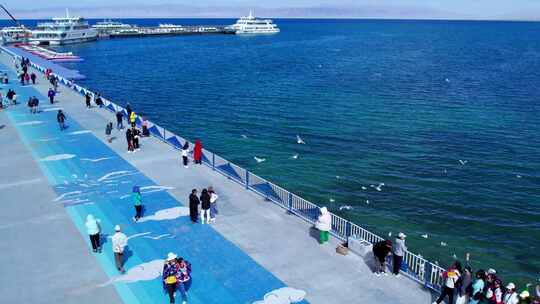 青海海南青海湖飞鸟湖面船只航拍视频