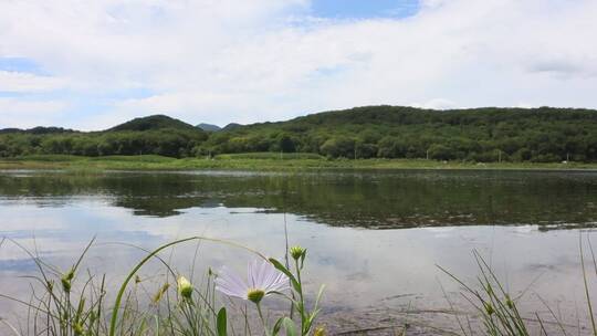 实拍1080P120风光山水草原湖泊河流视频素材