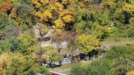 秋天的灵岩寺