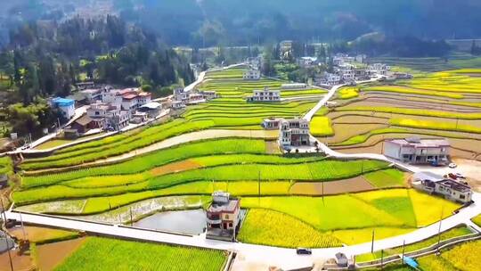 日落，我在人间贩卖风景，旅行大玩家