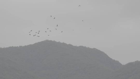 湘湖春天雨后实拍素材