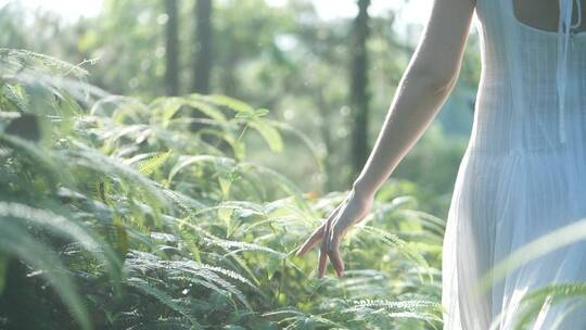 女孩在山林行走背影伸手抚摸小草叶子视频