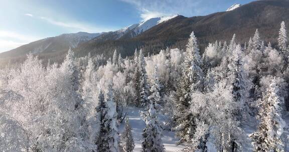 新疆旅游地-喀纳斯、禾木（冬季雪景晨雾）