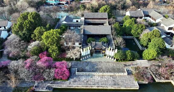 杭州西溪湿地洪园梅花盛开航拍