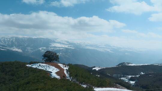 冬季云南红土地雪景视频雪山白云环绕的神树