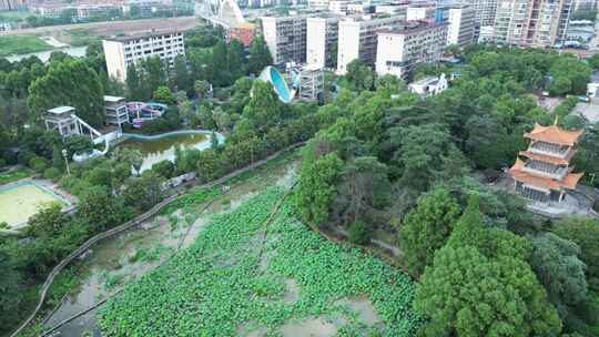 衡阳西湖公园美景航拍