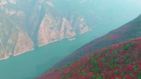 长江三峡巫峡红叶