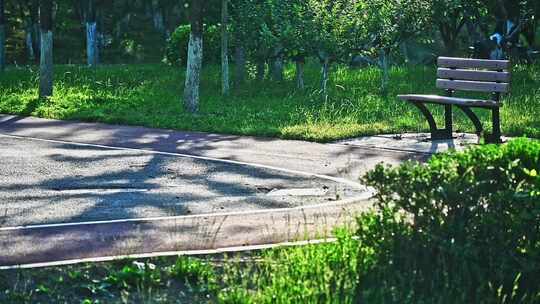 夏天公园早晨阳光下的跑道与座椅