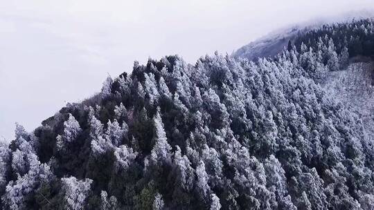 手机摄影，拍摄技巧，治愈风景