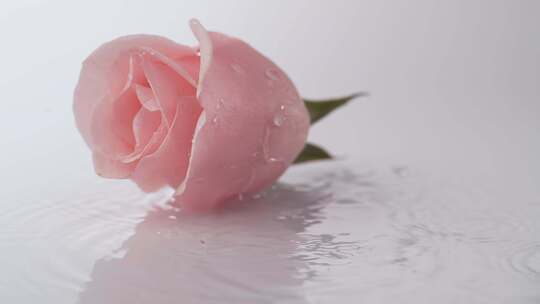玫瑰、坠落、水、粉色