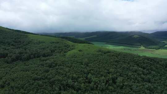 【航拍】草原风景 坝上草原 草原天路