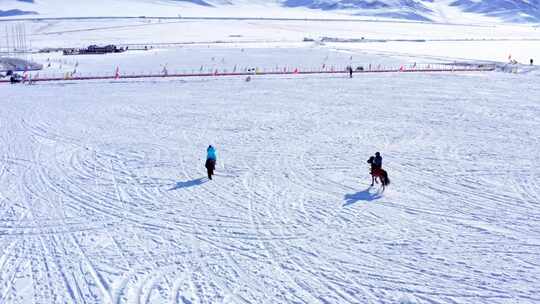 新疆旅行  雪山 赛里木湖 骑马 赛马