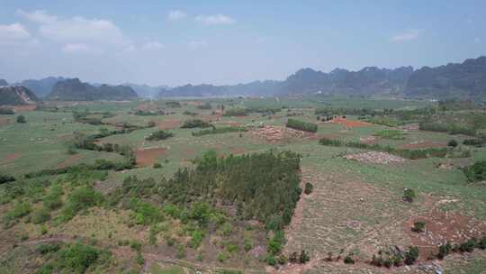 广西大面积甘蔗种植基地航拍