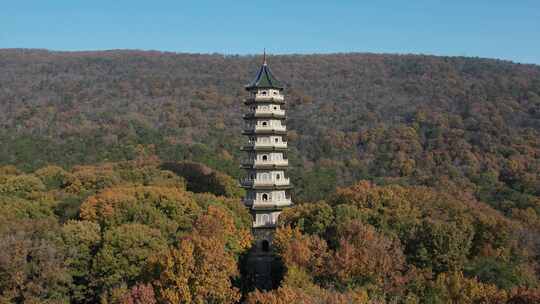 深秋的南京灵谷景区航拍素材