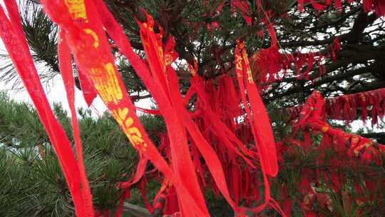 许愿树红布条许愿