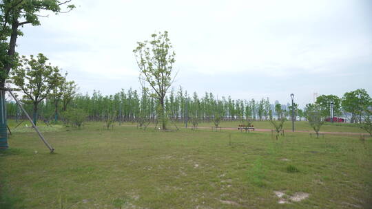 武汉洪山江滩公园风景