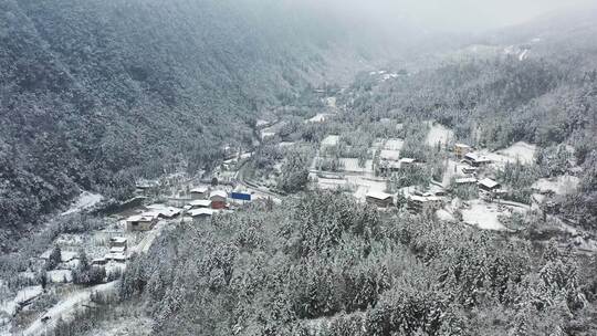 湖北利川雪中人家与雪后大山森林美