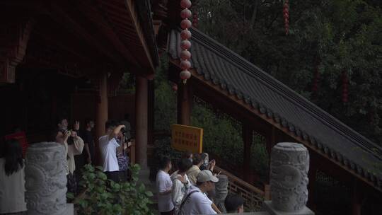 杭州上天竺法喜讲寺风景