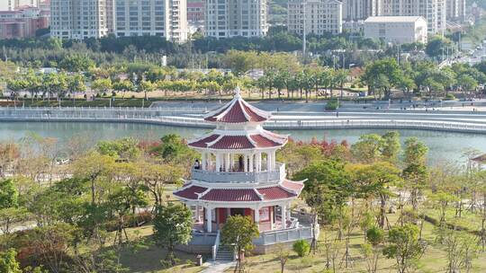 厦门 海沧 马銮湾 湿地公园 落羽杉