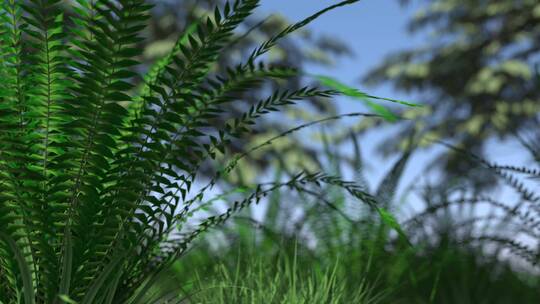 4k植物特写视频素材模板下载