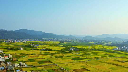 山村田园风光稻田水稻新农村自然风景