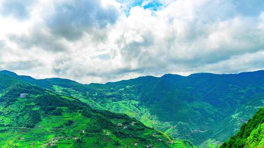 茶山 山川 云海 云南原始森林 大好河山