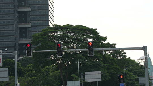 交通信号灯视频素材模板下载
