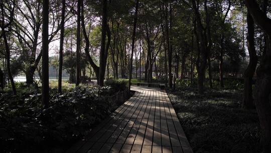 杭州西湖十景茅家埠水乡风景