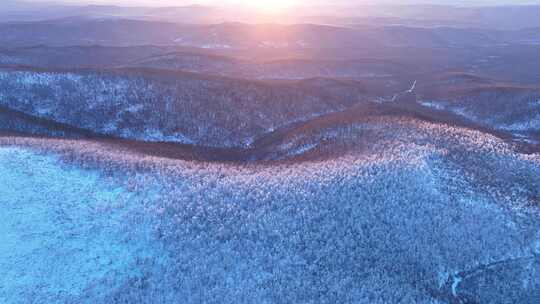 大兴安岭冬季雪色山林黎明风景