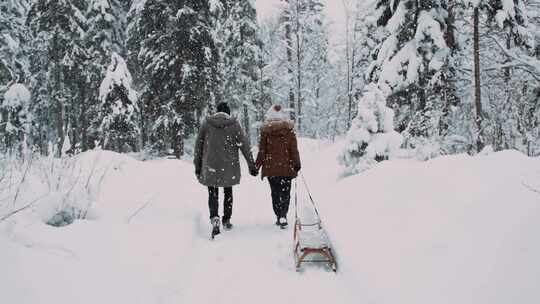 雪，雪，森林，雪橇