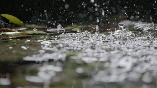 雨水落在水塘里慢动作