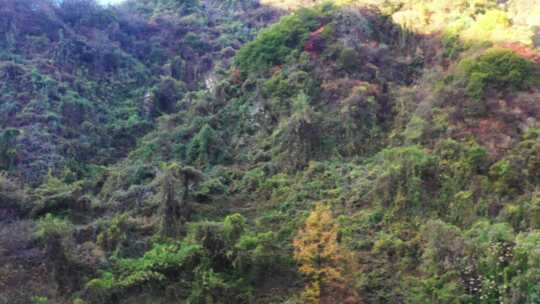 航拍秦岭山脉秋季风景云海