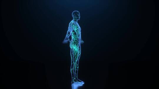全息成像人体神经网络科技C4D动画视频素材模板下载